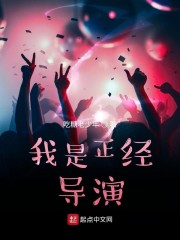 我是正经导演免费阅读