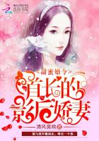 甜蜜婚令：首长的影后娇妻（不负荣光，不负你）