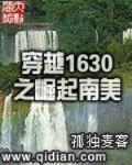 穿越1630之崛起南美网盘