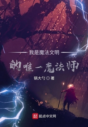 我是魔法文明的唯一魔法师